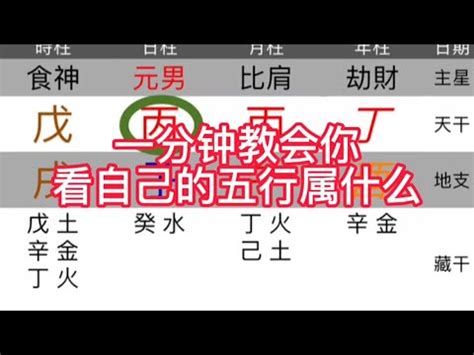 喜木命|免費生辰八字五行屬性查詢、算命、分析命盤喜用神、喜忌